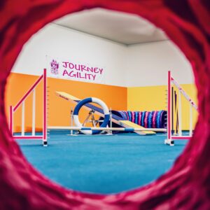Journey Agility offers group dog training classes in Tucson, Arizona. Dog agility, scent work, puppy classes, rally, CGC, tricks, manners.
